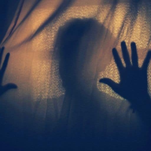 Phobies : le cri du corps face à une mémoire oubliée